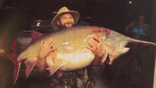 Missouri Record Fish Stories  Paddlefish [upl. by Enyehc]