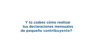 ¿Sabes cómo y cuándo realizar tus declaraciones mensuales de Pequeño Contribuyente [upl. by Klockau]