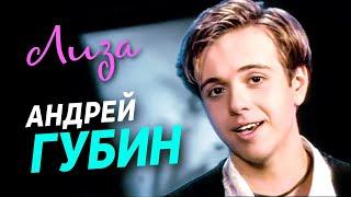 АНДРЕЙ ГУБИН  Лиза  Official Music Video  1995 г  12 [upl. by Agarhs]