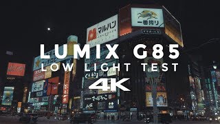 Lumix G85 Low Light Test 4K with 1260mm Kit Lens Hokkaido Japan [upl. by Aeynod]