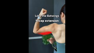 Lose the Batwings Master your straight bar tricep extension with these key tips [upl. by Namijneb]