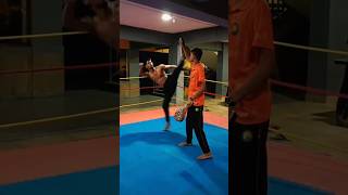 Can You Handle These Insane Taekwondo Kicks taekwondo training taekwondokicks militarytaekwondo [upl. by Atsirhc]