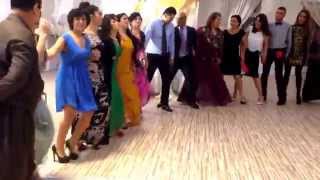 رقص كردي في دنمارك Denmark Kurdish dance Halparke halay [upl. by Llertnahs]