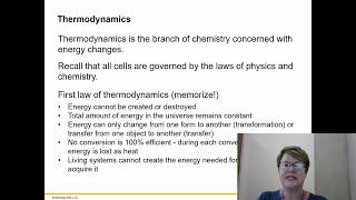 BIOL 1406 Chapter 6 Part 2 [upl. by Merton]