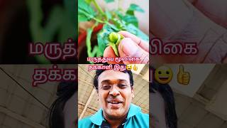 சுவையான மருத்துவ மூலிகை தக்காளி இது  doctorkarthikeyan [upl. by Adnilrev156]