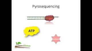 Pyrosequencing [upl. by Iddo]