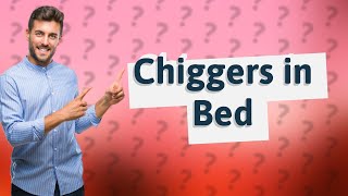 What kills chiggers in bed [upl. by Staffan]