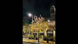 Marseille Night view vers Joliette🫶 travel nightlife asmr virlshort [upl. by Hsakiv]