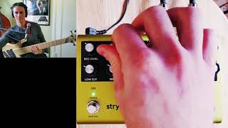 Strymon Volante Bass Demo [upl. by Goldfinch735]