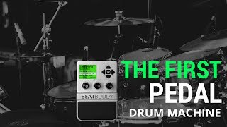 Singular Sound A Drummer at your Feet  Control the beat Using the BeatBuddy Drum Machine Pedal [upl. by Gerianna]