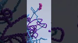 Are mutations good or bad genetics animation geneticdiversity facts biology mutation [upl. by Ynamad]