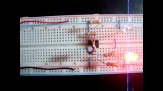 Luces intermitentes en protoboard [upl. by Eremahs792]