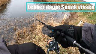 Snoek Vissen Met Eigen Softbaits [upl. by Issiah]