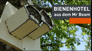 Bienenhotel Eine Behausung die wirklich hilft  Mr Beam Creative Lab [upl. by Maidel]