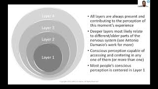 The Martin Matrix a Comprehensive Map of Persistent NonSymbolic Experience EnlightenmentNondual [upl. by Lisk52]