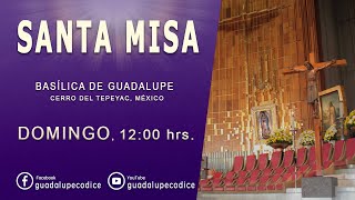 Santa Misa Basílica de Guadalupe Domingo 3 DICIEMBRE 2023 1200 hrs [upl. by Joly541]