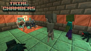 The Trial Chambers  Episode 2 [upl. by Nimzzaj746]