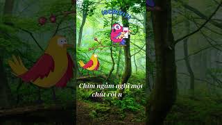 Chim Miu và Vẹt Mèo [upl. by Bible]