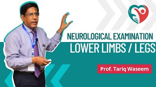 Lower Limbs  Neurological Examination by ProfTariqWaseem medical nerves doctor education [upl. by Silliw430]