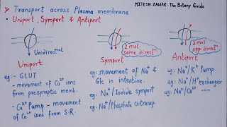 UNIPORT SYMPORT AND ANTIPORT Transport across Cell Membrane  Primary amp Secondary Active Transport [upl. by Gretal]