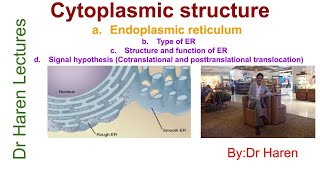 Cytoplasmic structure or Endomembrane StructureEndoplasmic reticulum [upl. by Reifinnej]