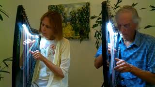 Two Harps playiing OCarolans Air with Hayden carbon fiber harps [upl. by Haelat]