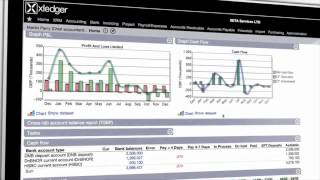 Xledger 1  Cashflow [upl. by Thurmond]