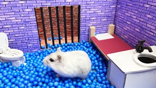 🐹Hamster escapes the awesome maze for Pets in real life 🐹 in Hamster stories [upl. by Garnette873]