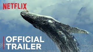 Our Planet  Official Trailer HD  Netflix [upl. by Eelorac]