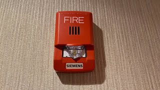 Interesting Siemens Fire Alarm System and Emergency Lighting [upl. by Hocker]