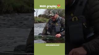 River Irfon grayling fly fishing Wales UK [upl. by Ttnerb776]