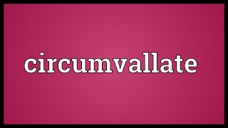 Circumvallate Meaning [upl. by Absa]