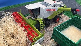 Videos for children  harvest time with BRUDER CLAAS combine harvester  AGRICULTURE shorts [upl. by Sophronia897]