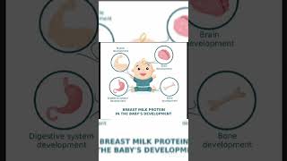 How to wean your baby completely  ಎದೆ ಹಾಲು ಬಿಡಿಸುವ ಪ್ರಕ್ರಿಯೆ Here is how to wean your baby easily [upl. by Heti297]