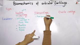 Biomechanics of articular cartilage  types of cartilage in Urdu\Hindi [upl. by Gradey341]