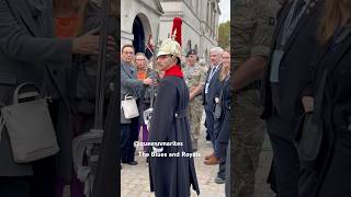 The Blues and Royals highlights history tourist london horse travel [upl. by Frasquito330]