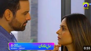 DileNadan Episode 12 Teaser  Promo  HAR PAL GEO  Drama Review [upl. by Hausner460]