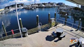 Gasparilla Marina  Live Stream  Englewood  Placida Florida  Gulf Coast  Fuel Dock Cameras [upl. by Iives]