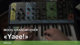 MOOG GRANDMOTHER quotYAEE quotPATCH [upl. by Elehcin]