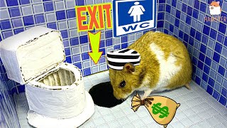 Hamster Escapes the Awesome Maze for Pets in real life 🐹 The Best Hamster Challenges [upl. by Wilbur590]