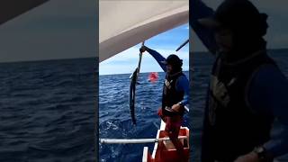 King Mackerel fishing fishingmethods handlinefishing traditionalfishing [upl. by Braasch]