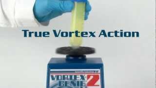 Scientific Industries VortexGenie 2 Variable Speed Vortex Mixer [upl. by Idihsar322]