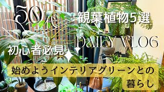 【vlog】初心者さんも必見！おしゃれ＆丈夫な観葉植物5選始めようインテリアグリーンとの暮らし【50代主婦】 [upl. by Ahseile7]