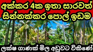 අක්කර 4 ක සින්නක්කර පොල් ඉඩම ලක්ෂ ගාණක් මිල අඩුවට  Pol idam  Coconut land  Land for sale  Idam [upl. by Ema879]