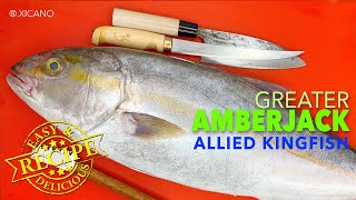 CLEANFILLET amp COOK AMBERJACK FISH SEAFOOD RISOTTO [upl. by Henigman]