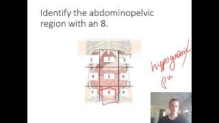 Practice Lab Practical 1 for AampP I [upl. by Klayman914]