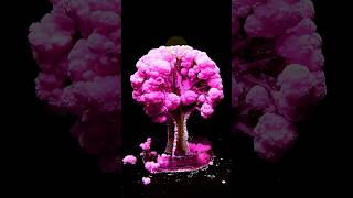 Magical Sakura tree blooming timelapse 🌸 timelapse [upl. by Enomrej936]