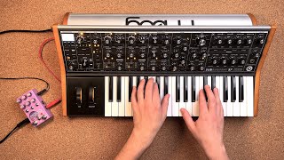 Moog Subsequent 37  Chase Bliss Mood MK2  Randomised Arpeggios [upl. by Judah923]