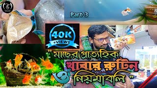 একুরিয়াম ও মাছ  Best Food for Fish  Part 3 [upl. by Anselme14]