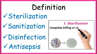 Definition  Sterilization  Disinfection  Sanitization  Antisepsis [upl. by Ayyn]